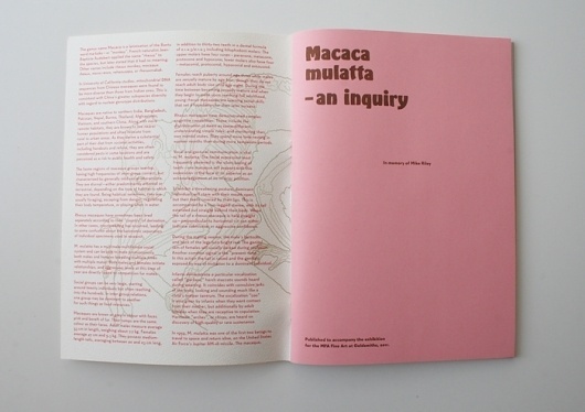 Macaca mulatta : Jamie Reid #print