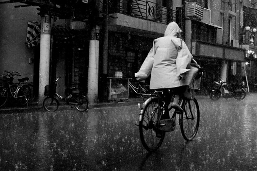 Photography - David Mcleod #photography