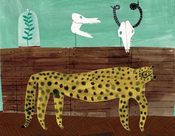 Emma Lewis #leopard #biology #illustration #object #skull