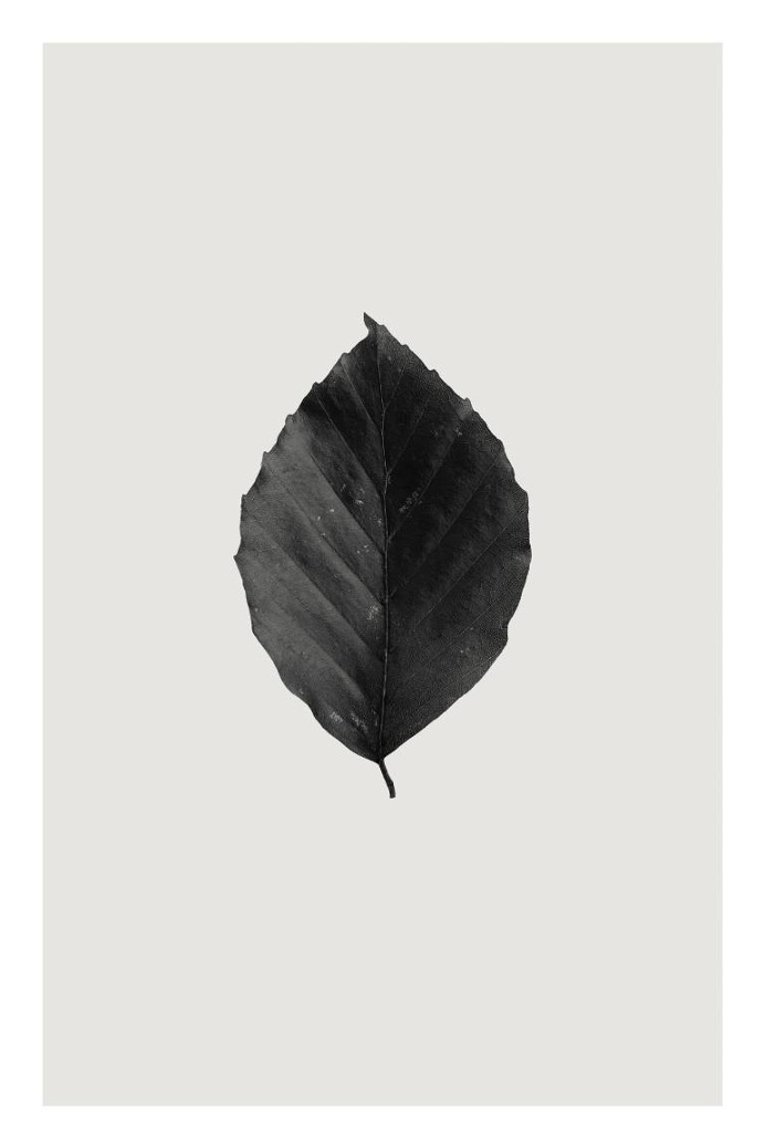 Saatchi Art Artist Anders Bundgaard; Photography, "Beech" #art