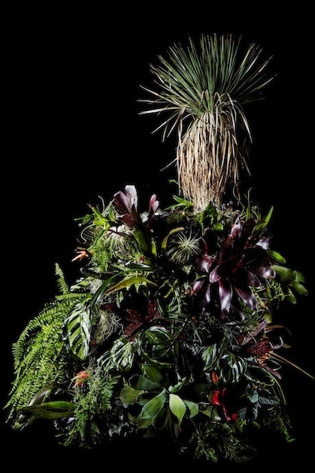 Botanical Ashtray, Makoto Azuma