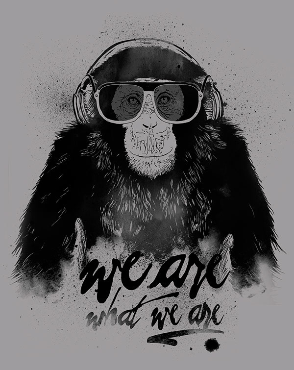 Raiz – t-shirt design