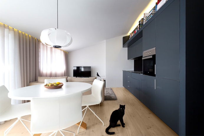 SS Apartment by Paulo Martins - InteriorZine