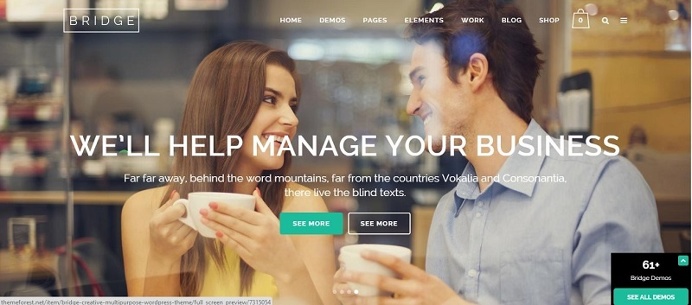 Bridge Theme for a superb site design quality.