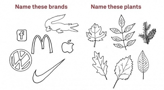 Name These Plants/Brands | Adbusters Culturejammer Headquarters #drawings #ads #irony