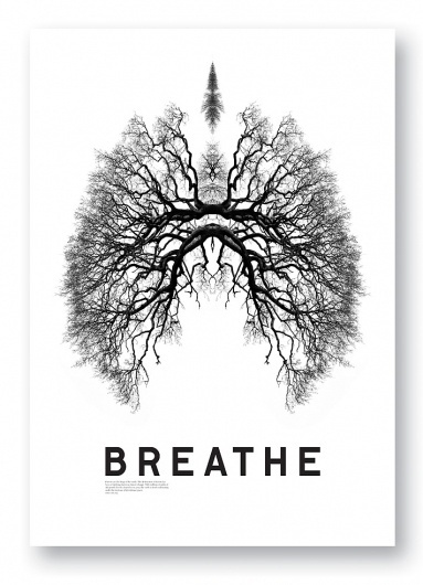 bench.li / Beautiful design inspiration from around the universe. #breath