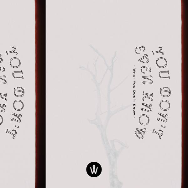 PHOTO QUOTE / November on Behance #photoquote #quote #photo #design #graphic #photography #art #typography