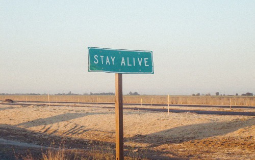 this isn't happiness™ - photo caption contains external link