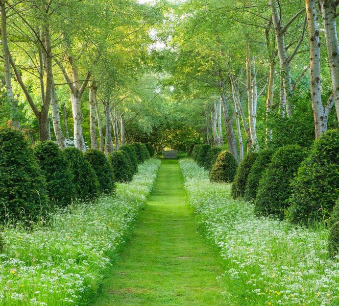 Outstanding Flowers and Garden Photography by Clive Nichols