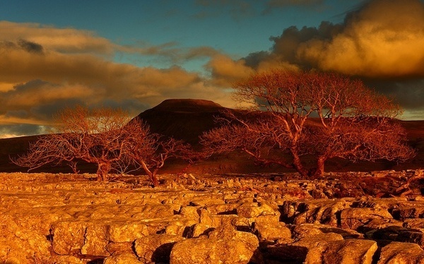 Steve Thompson #nature #photography #landscape