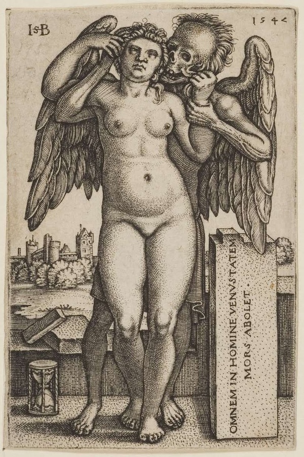 Hans Sebald Beham, 1547. "Death destroys all beauty in Man." #hans #beham #engraving #sebald #latin #skull #death