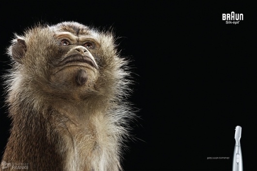Precision Trimming on the Behance Network #photography #animal #retouch #monkey