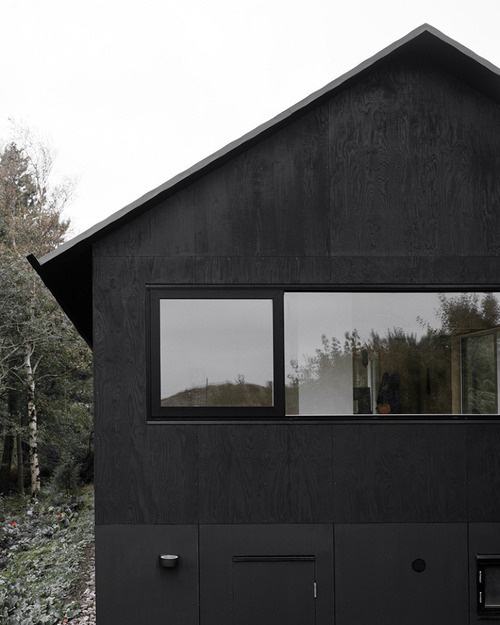 state of the state #house #black