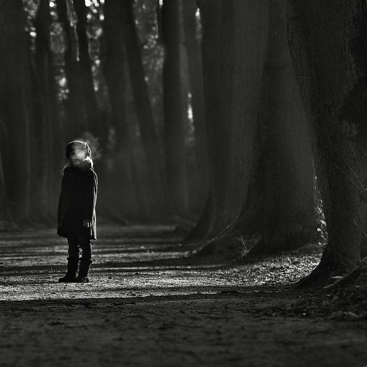 Untitled, photography by Magdalena Berny #forest #children