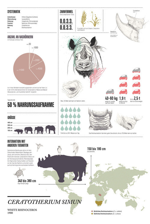 http://www.behance.net/gallery/BEHIND-THE-UNKNOWN/3522439 #cryptozoology #rhinoceros #infographics #calendar #design #graphic