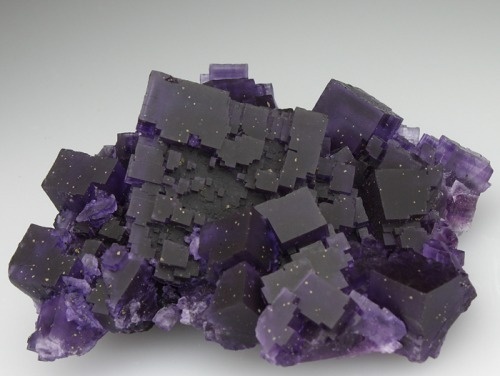 OTAKU GANGSTA #squares #purple #mineral