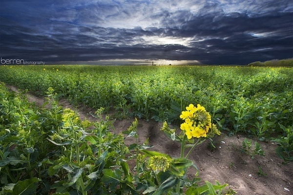 Berren Rees #inpiration #photography #landscape