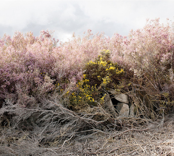 Landscape Photography by Paul Gaffney #inspiration #photography #landscape