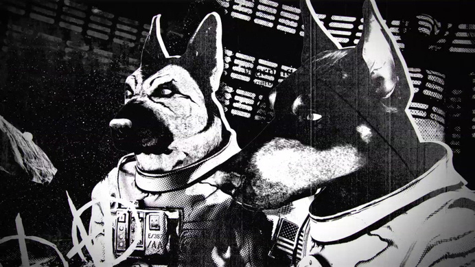 DOG BLOOD 012 #blood #dog