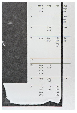 poster, typorgaphy, grid, collage