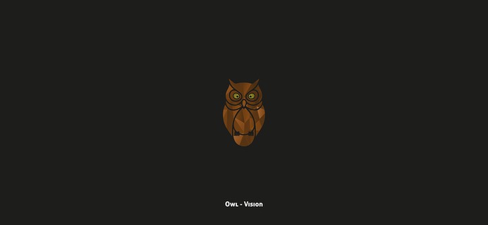 Animal Symbology | Owl - Vision #animal #animals #symbology #owl #vision #designbyorimat #orimat