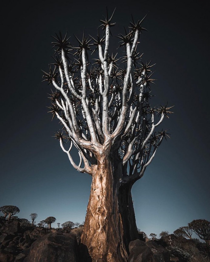 Impressive Adventure and Landscape Photography by Michal Boguslawski