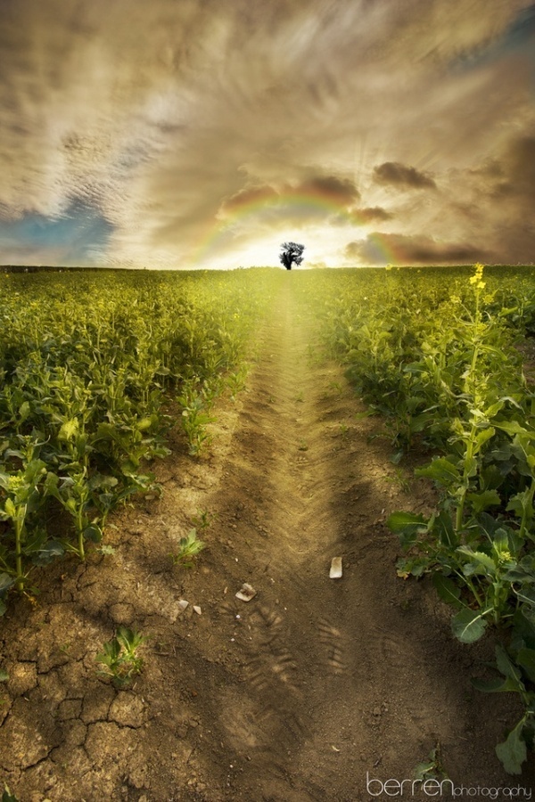 Photography by Berren Rees #inpiration #photography #landscape