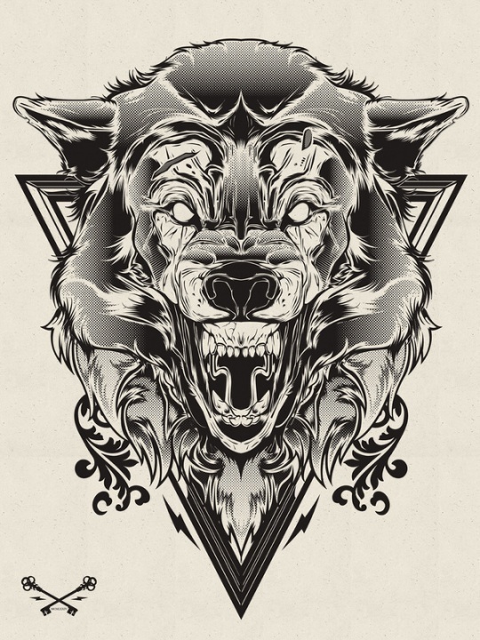 wolf #wolf