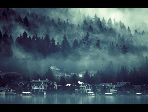 4268954145_38451bc31d_o.jpg (изображение «JPEG», 1200 × 909 пикселов) #water #tree #fog #town #mood #lake #blue #forest