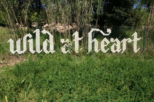 Wild At Heart: Masking tape typography | Colossal #tape #design #masking #art #street #typography