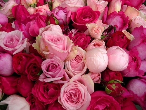 (18) Tumblr #pink #pattern #flowers