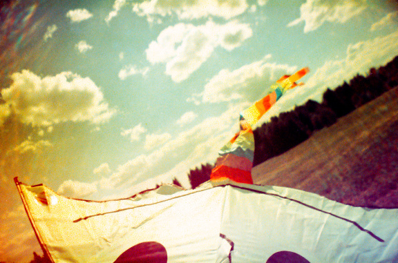 A Photo by tb - Lomography #summer #lomo