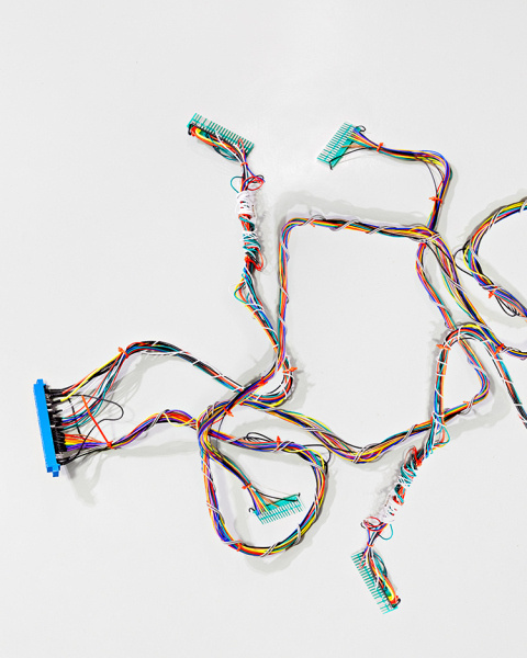 Daniel Everett | PICDIT #photo #photography