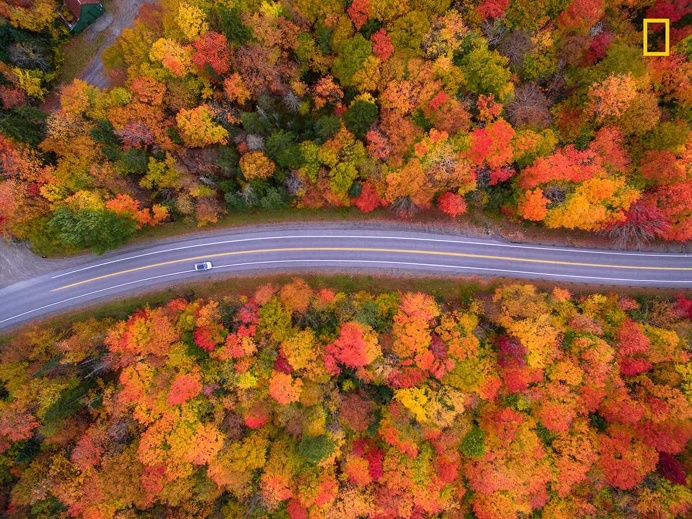 A drive to remember by Manish Mamtani