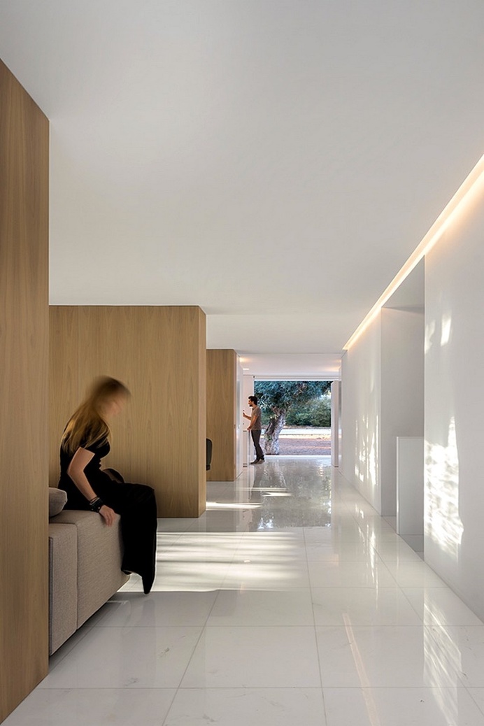 House Between the Pine Forest / Fran Silvestre Arquitectos