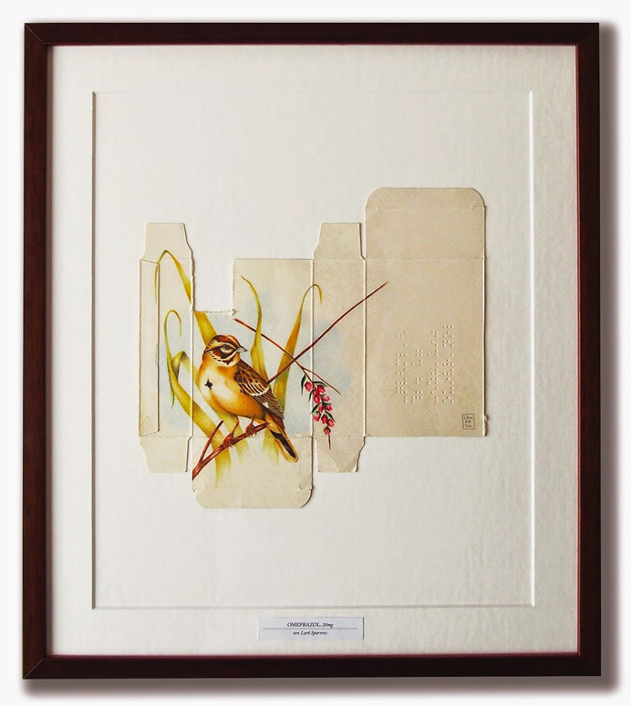 New Birds Painted on Pharmaceutical Packaging by Sara Landeta