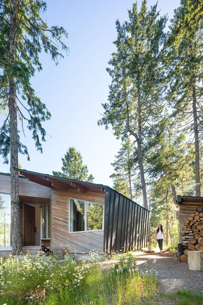 Campos Studio Has Integrated Sooke House with the Rhythm of the Forest