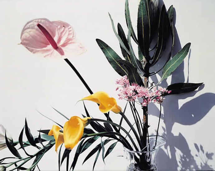 Nobuyoshi Araki, Flowers series, 1997 #photo #araki