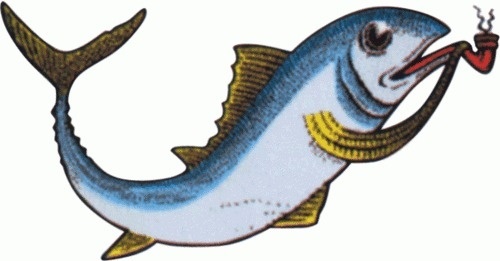 tumblr_lbd2rekuJG1qzw9h4o1_500.gif (Immagine GIF, 500x261 pixel) #fish #maruzzella