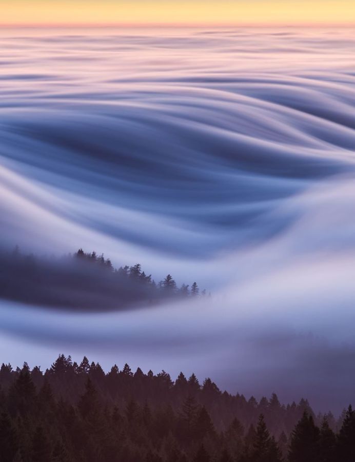 Cotton Candy, Fog Waves, David Odisho