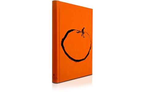 James and the Giant Designed by Antony Gormley #ink #giant #simplicity #orange #book #the #simple #cover #illustration #james #peach #and
