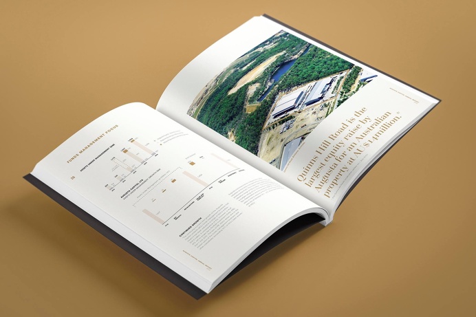 #diecut #Gold #black #goldfoil #metallic #Pantone#AnnuralReport #publication #design #minimal #annual report