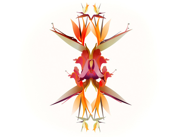 jesus as a flower : Cristian Grossi fashion illustrator and designer #kreativehouse #flower #contemporary #artwork #illustration #art #fashion #grossi #cristian
