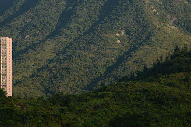 diestro-9