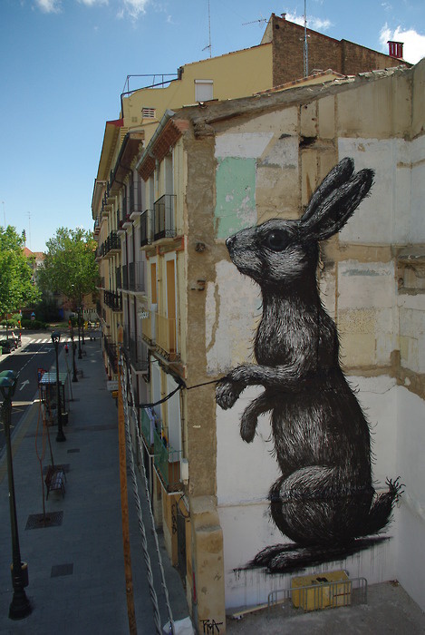 ZARAGOZA5°ASALTO MURAL PAINTING FESTIVAL #roa