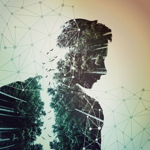 #photo editor#picture Editor#PicsArt#collage Maker