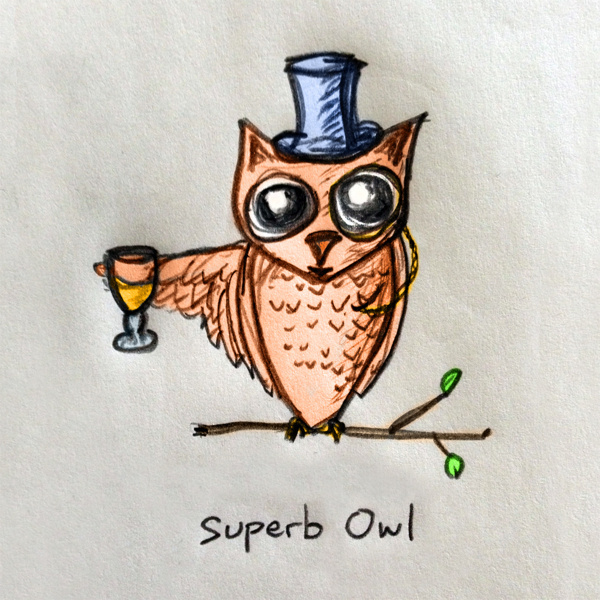 Superb Owl #illustration #bowl #owl #super