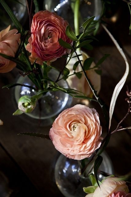 Ranunculus #photo #interiors #flowers #franzen #nicole