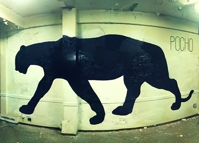 POCHO | Gaucholadri #gaucholadri #streetart #argentina #wall #pocho #painting