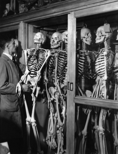 W E L L ※ F E D #wellfed #skeleton